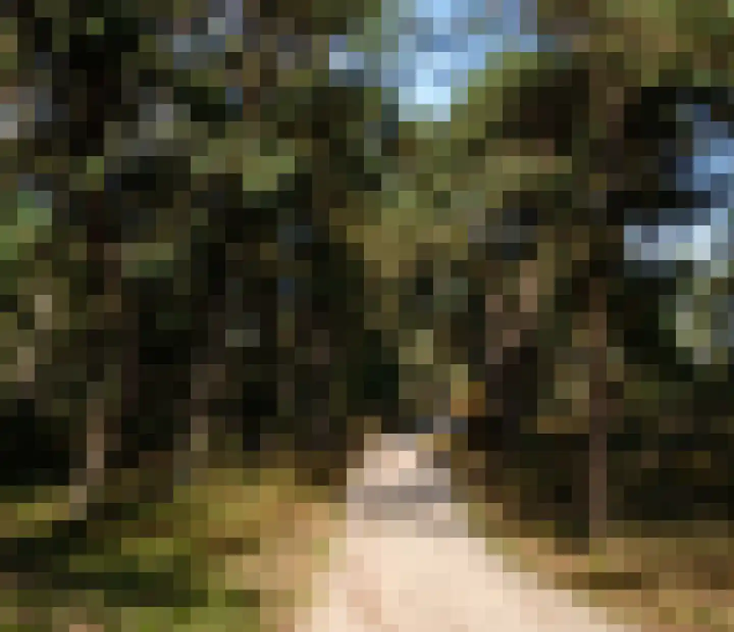 Terhoeksweg 1 a Haarle thumbnail 8