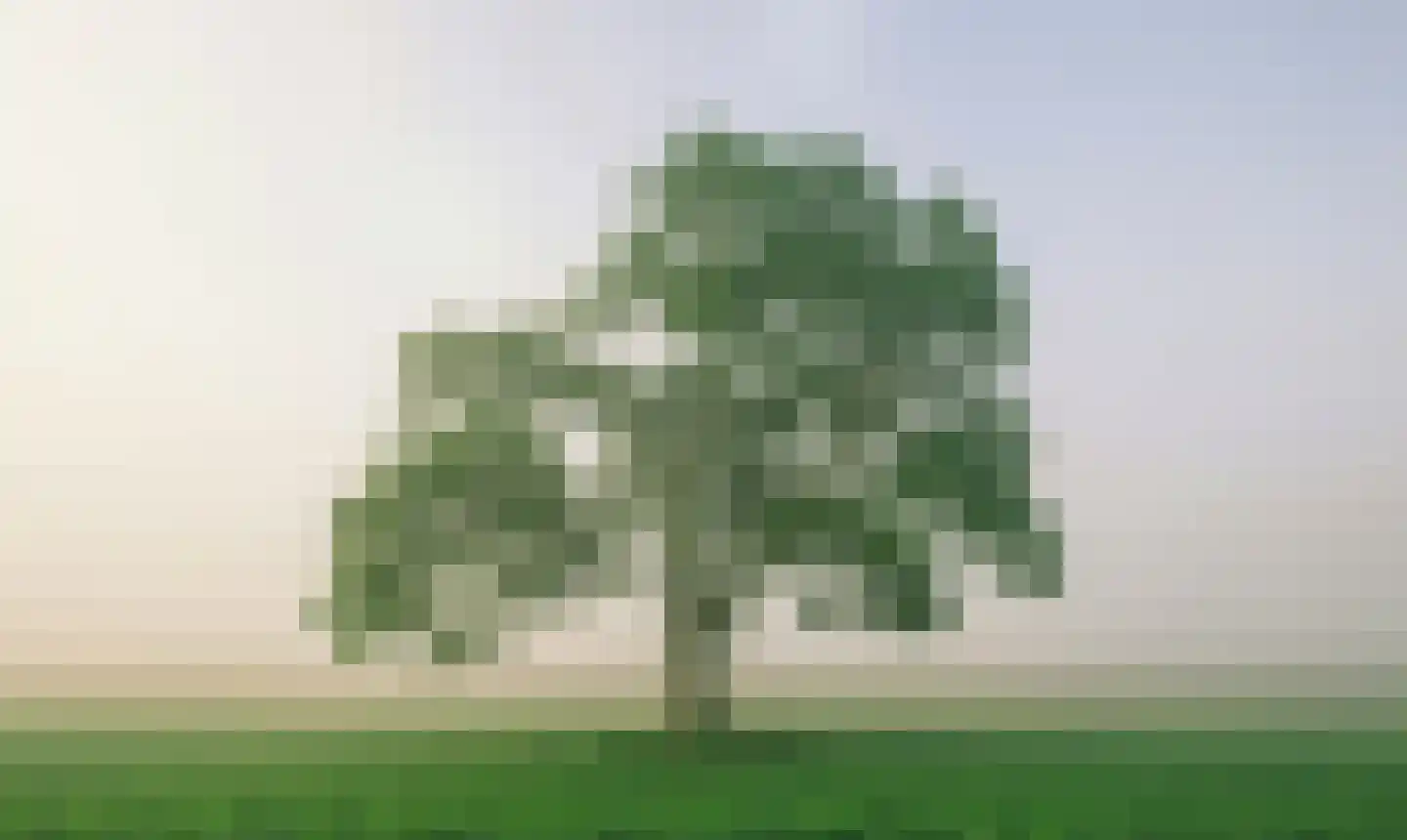 Terhoeksweg 1 a Haarle thumbnail 9