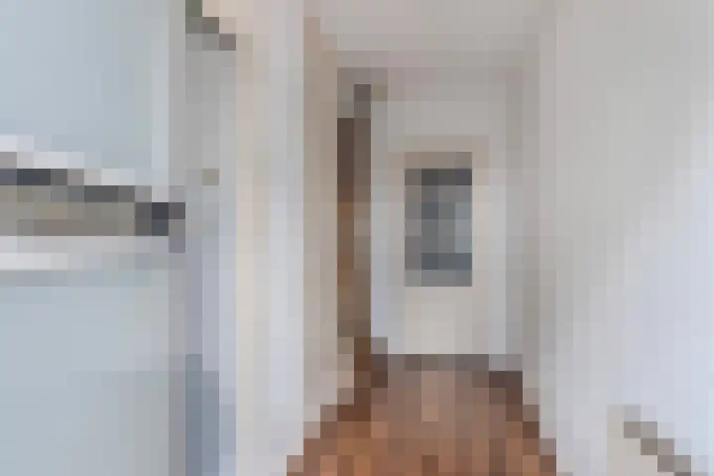 Terhornestrjitte 26 Bitgummole thumbnail 13