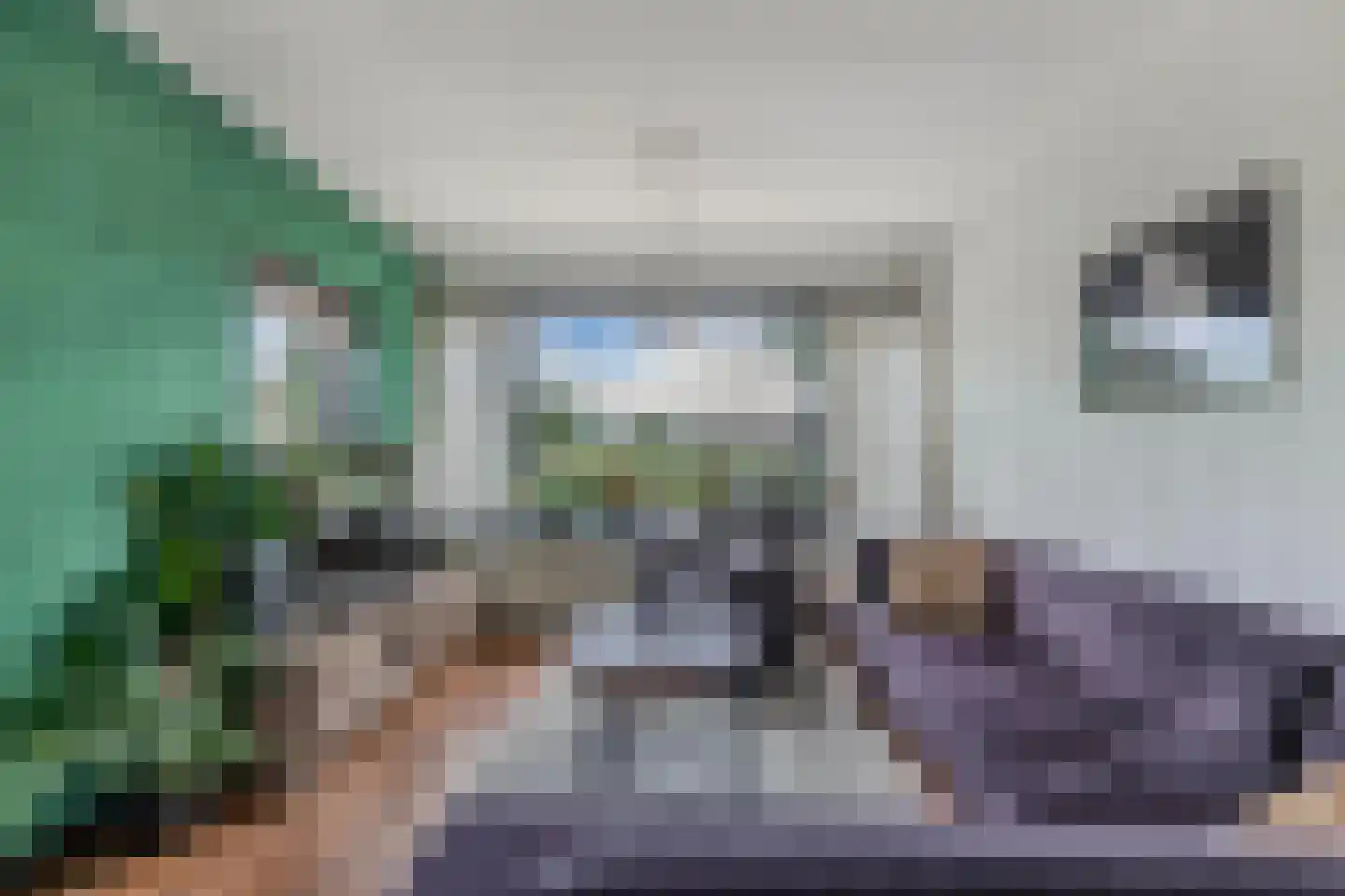 Terhornestrjitte 26 Bitgummole thumbnail 16