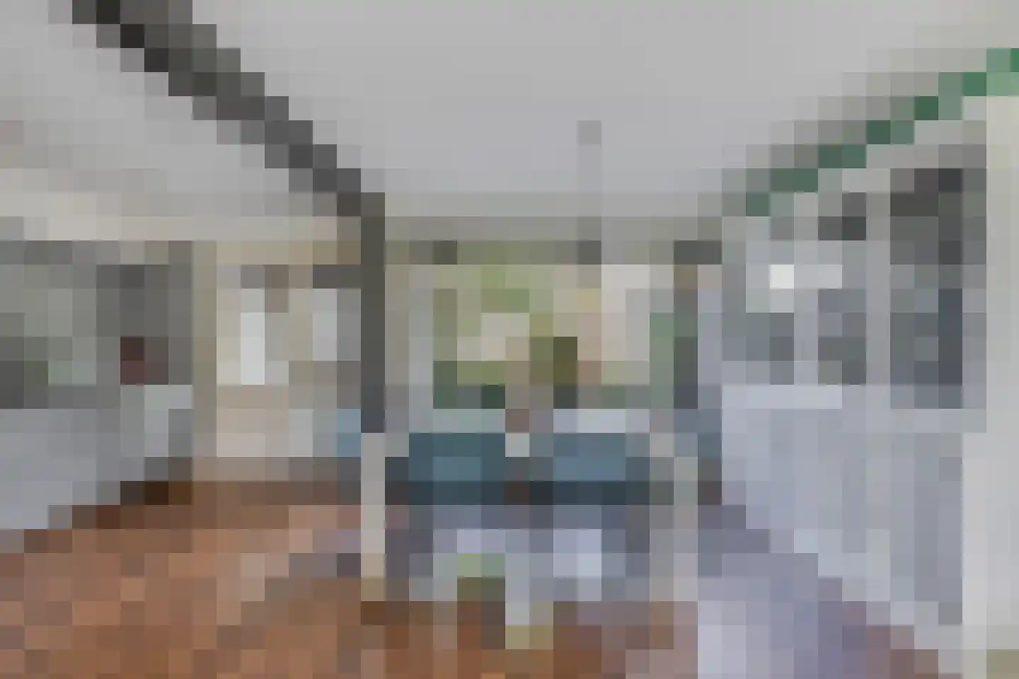 Terhornestrjitte 26 Bitgummole thumbnail 19
