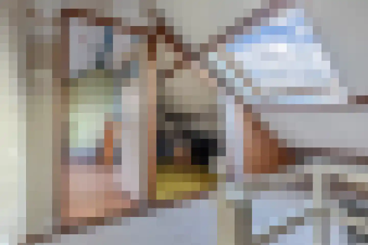 Terhornestrjitte 26 Bitgummole thumbnail 39