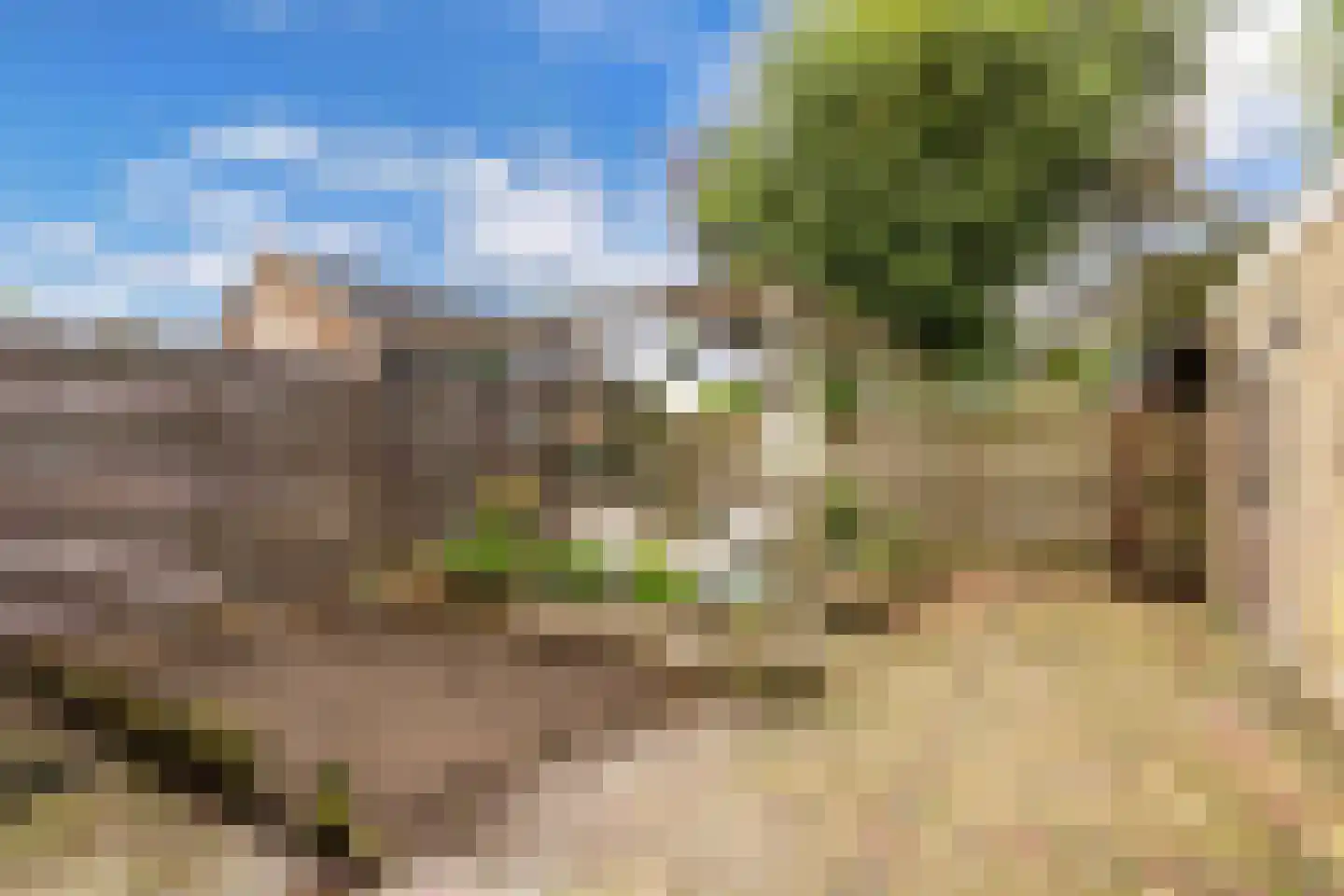 Terhornestrjitte 26 Bitgummole thumbnail 43