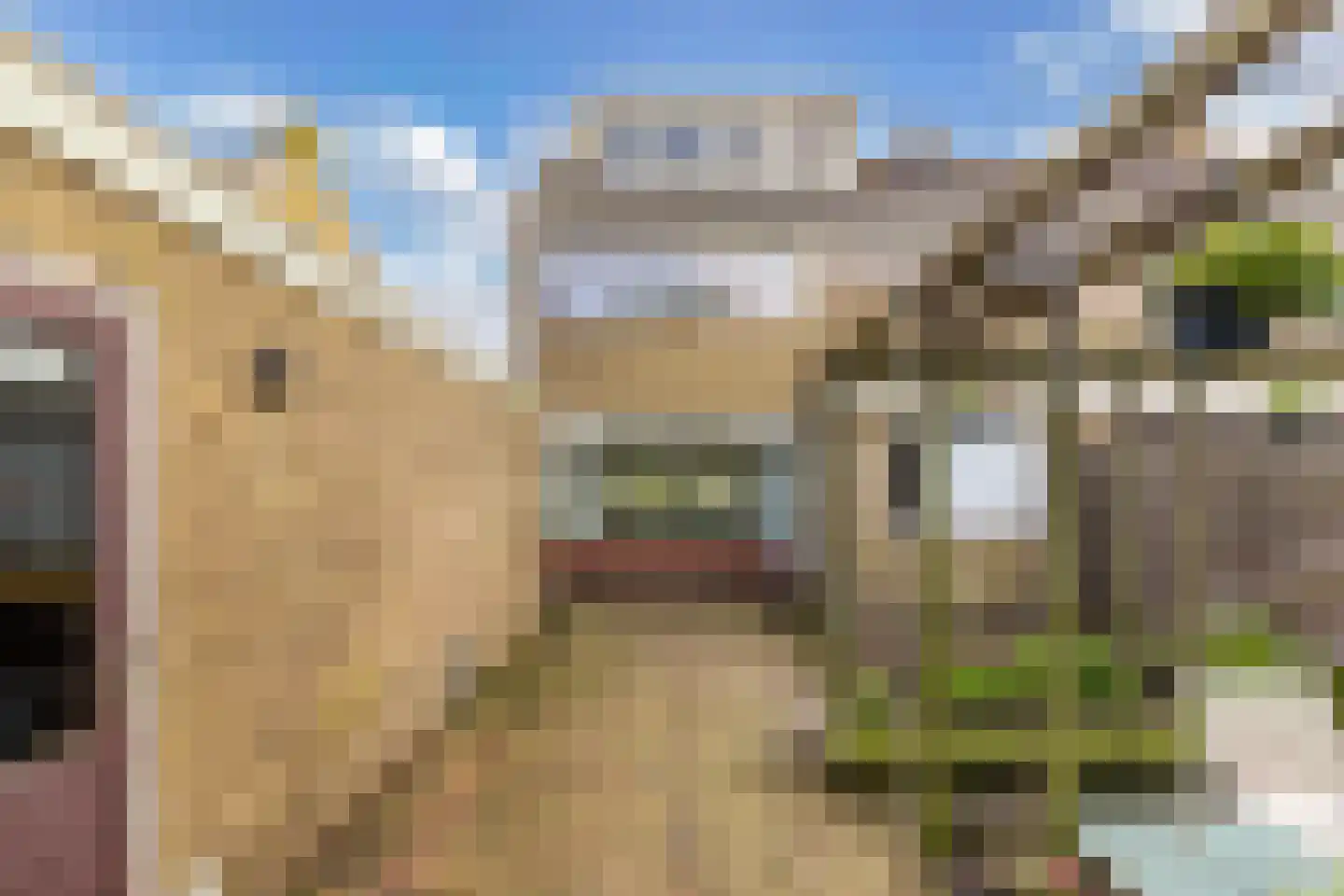 Terhornestrjitte 26 Bitgummole thumbnail 47