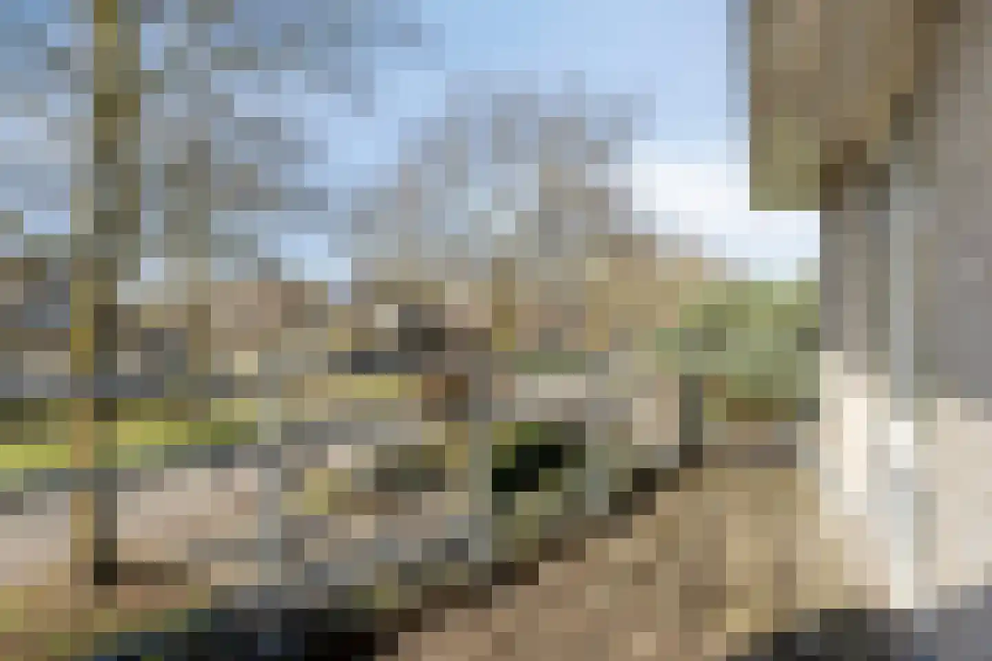 Terloo 13 Oss thumbnail 16