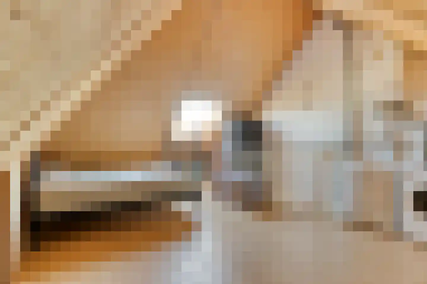 Terloo 13 Oss thumbnail 21