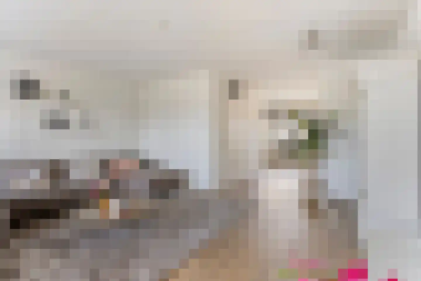 Terloo 13 Oss thumbnail 4