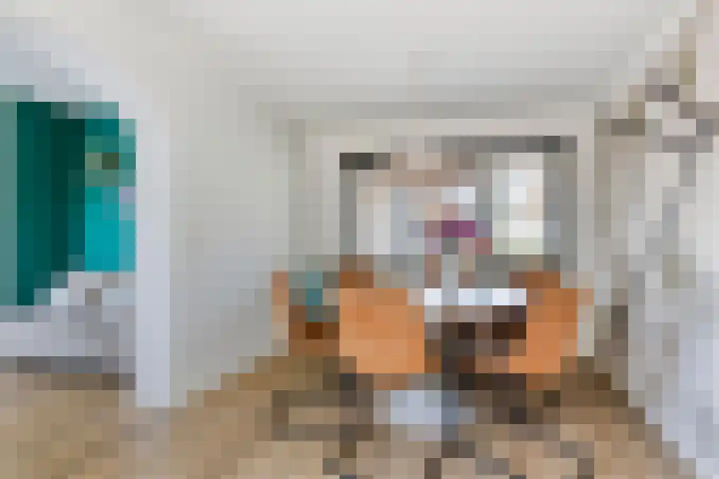 Terloo 13 Oss thumbnail 9