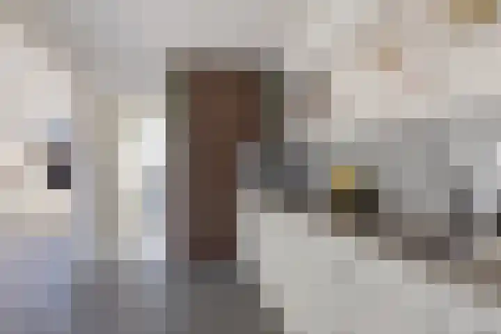 Terlune 2 Drachten thumbnail 17