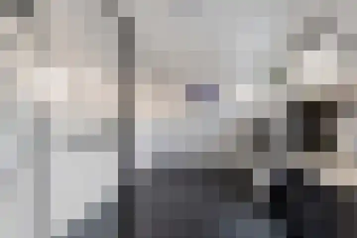 Terlune 2 Drachten thumbnail 20