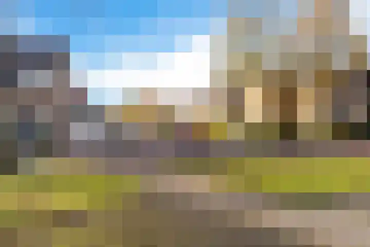 Terlune 2 Drachten thumbnail 38