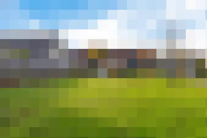 Terlune 2 Drachten thumbnail 7