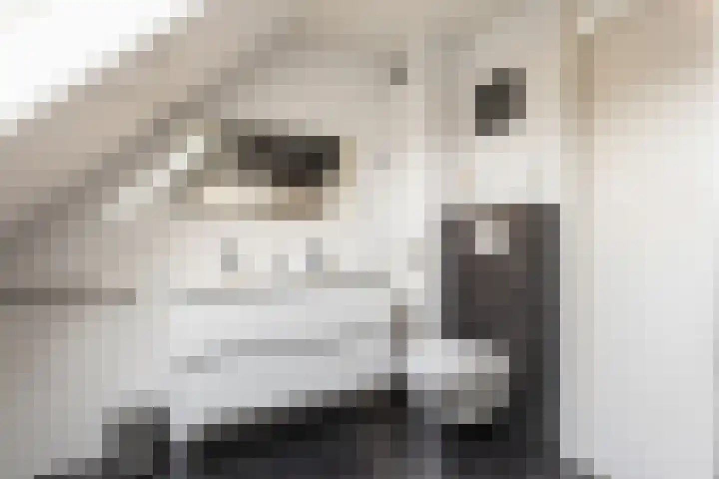 Termaaden 4 Apeldoorn thumbnail 21