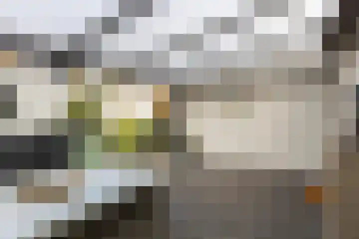 Termaaden 88 Apeldoorn thumbnail 11