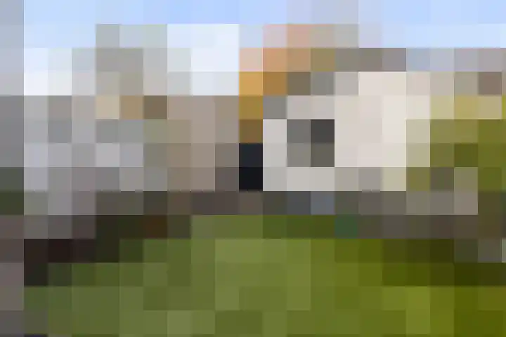 Termaaden 88 Apeldoorn thumbnail 12