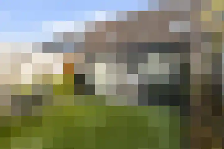 Termaaden 88 Apeldoorn thumbnail 14