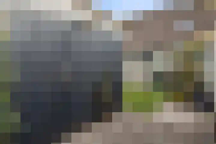 Termaaden 88 Apeldoorn thumbnail 16