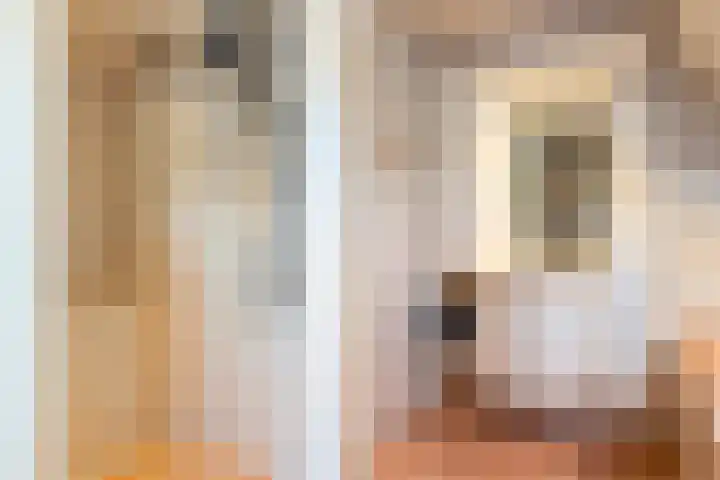 Termaaden 88 Apeldoorn thumbnail 23