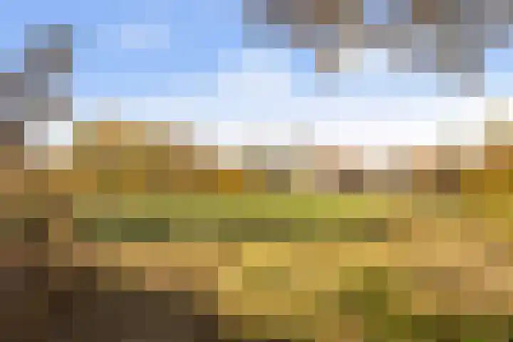 Termaaden 88 Apeldoorn thumbnail 29