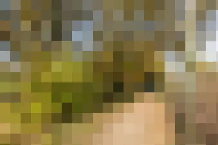 Termaaden 88 Apeldoorn thumbnail 30