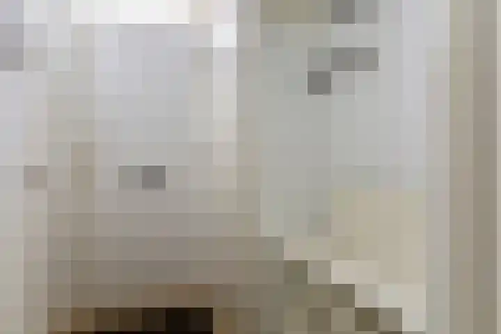 Termaaden 88 Apeldoorn thumbnail 6