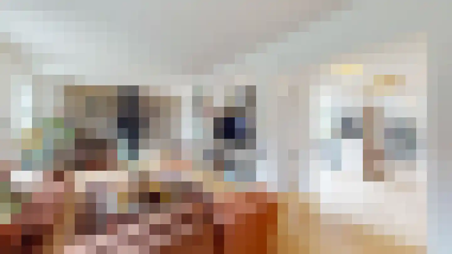 Termaar 105 Margraten thumbnail 11