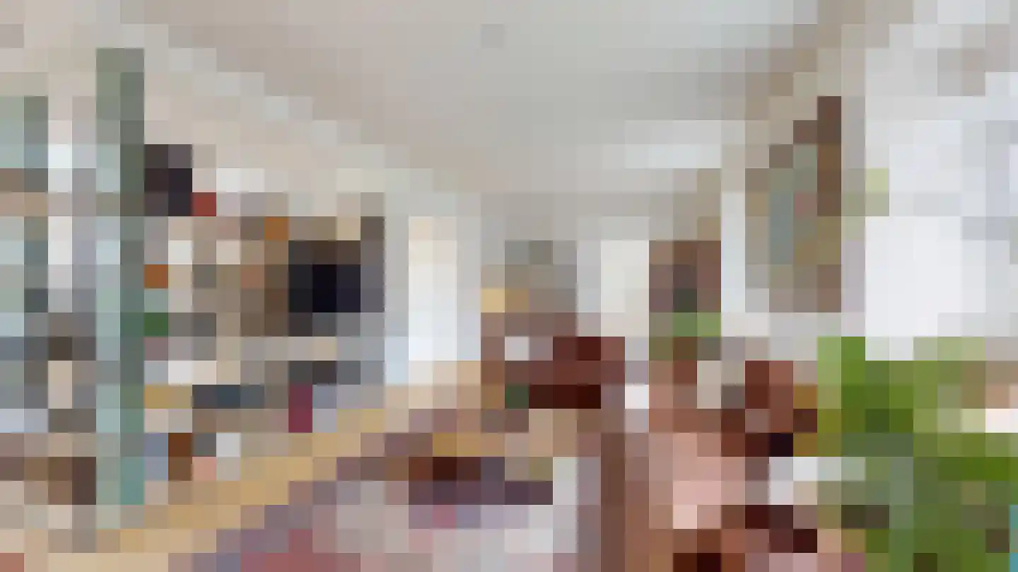 Termaar 105 Margraten thumbnail 13