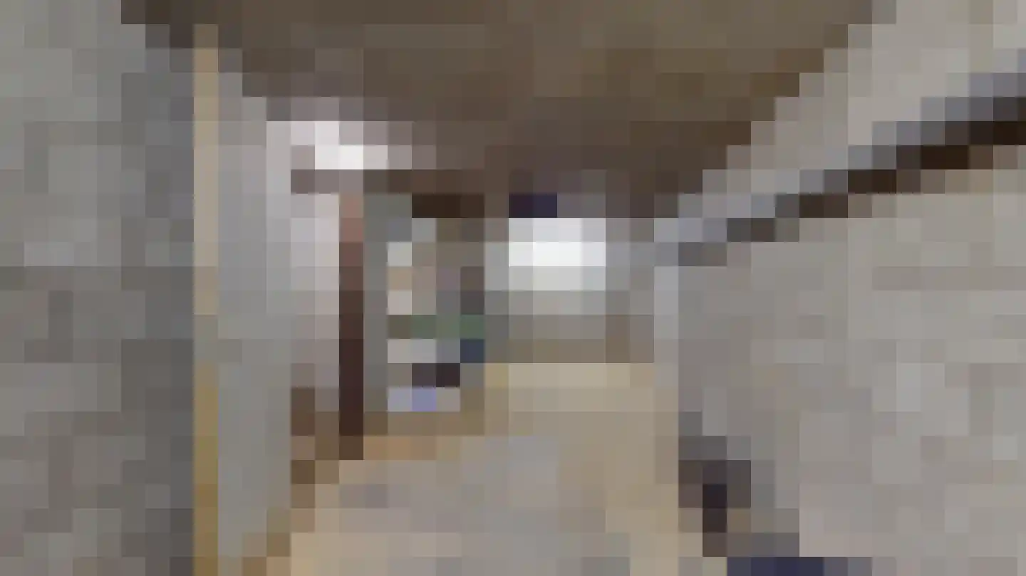Termaar 105 Margraten thumbnail 36