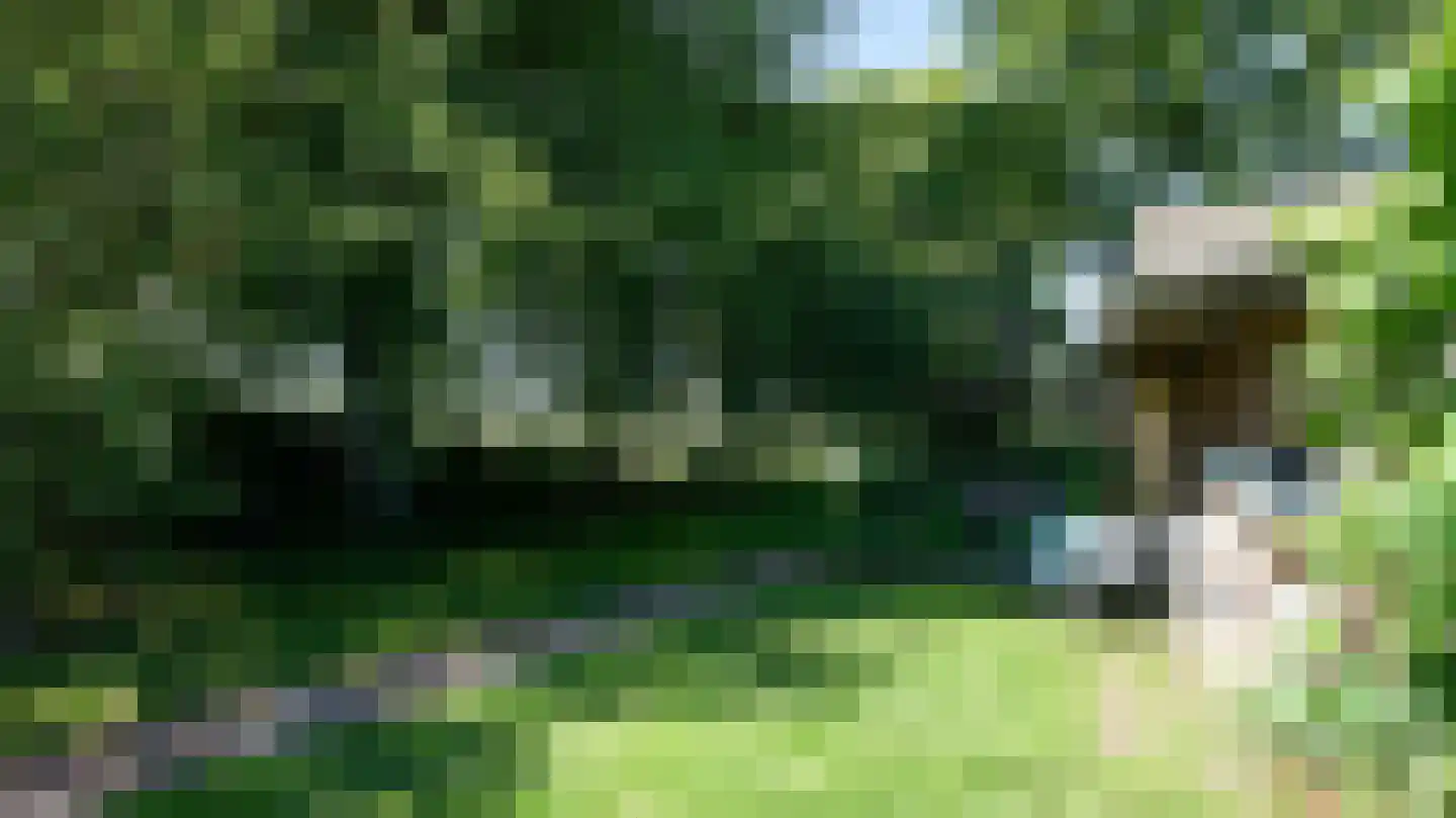 Termaar 105 Margraten thumbnail 65