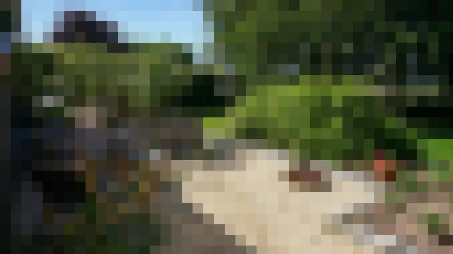Termaar 105 Margraten thumbnail 77