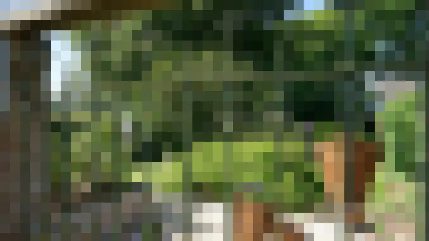 Termaar 105 Margraten thumbnail 78