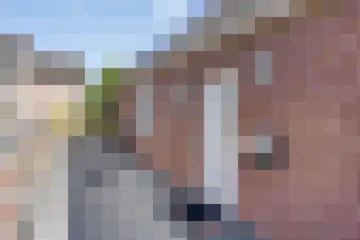 Termaar 23 A Margraten thumbnail 4