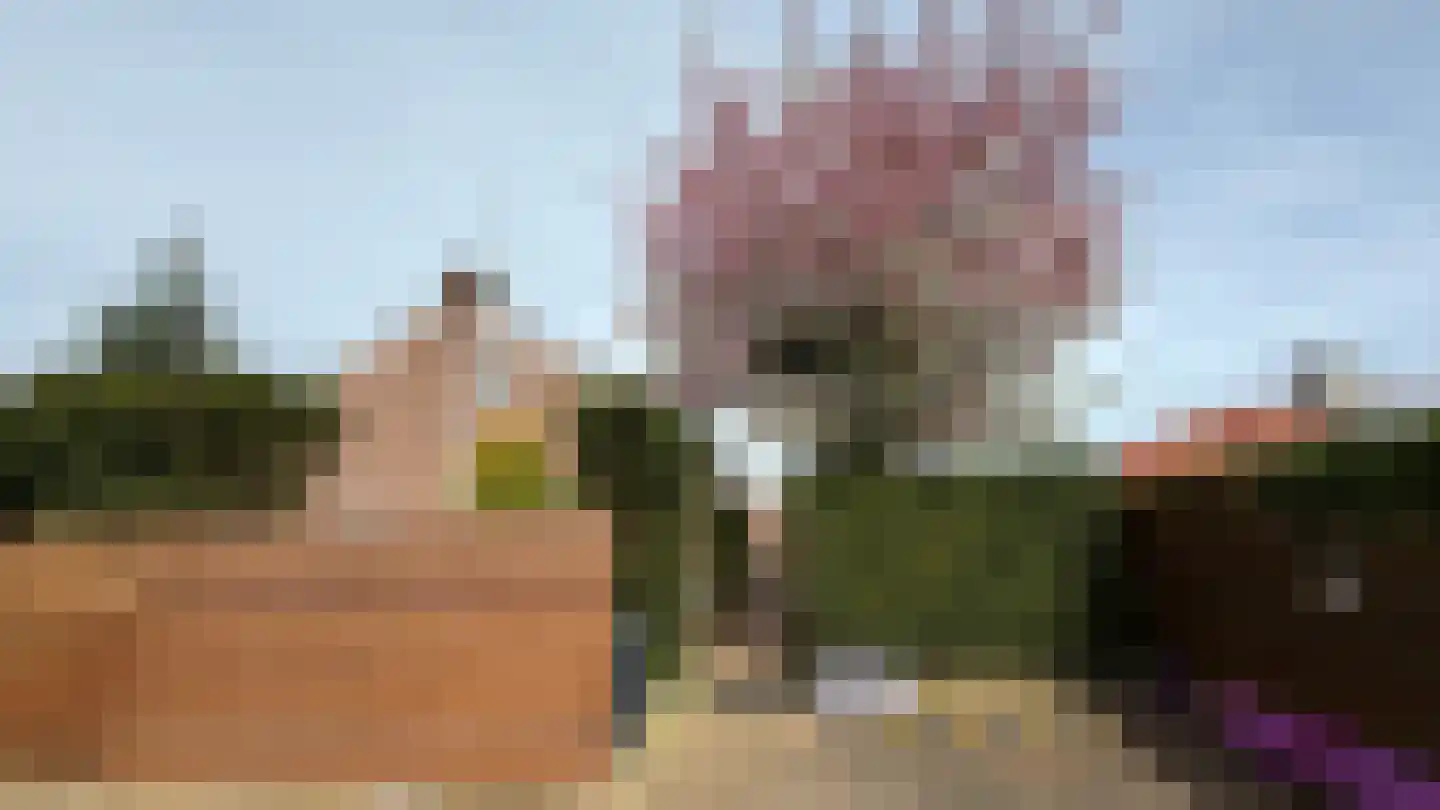 Termaar 5 Klimmen thumbnail 10