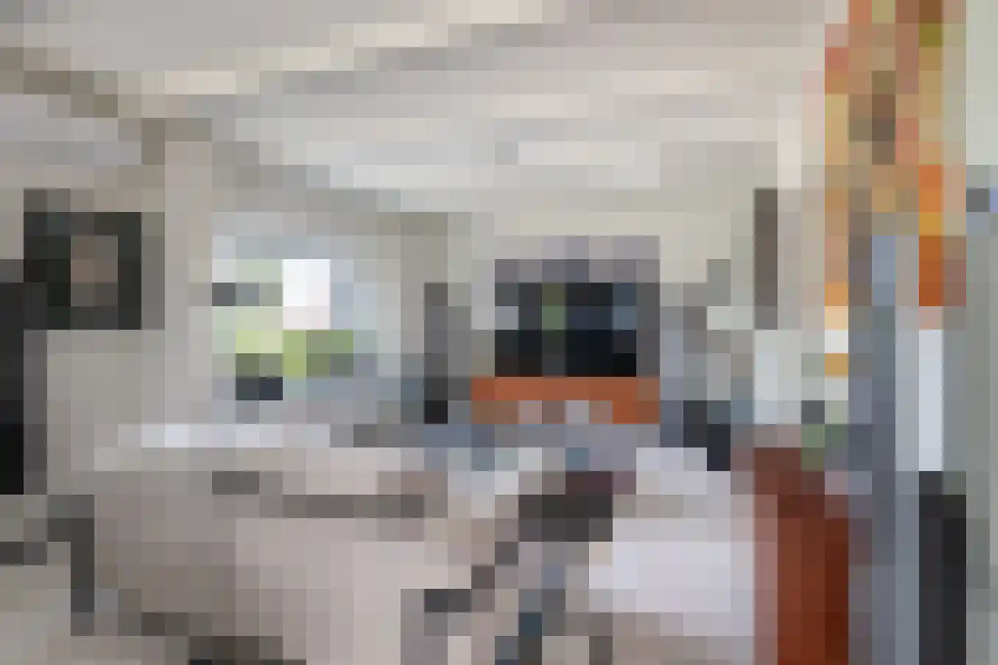 Termaar 5 Klimmen thumbnail 17