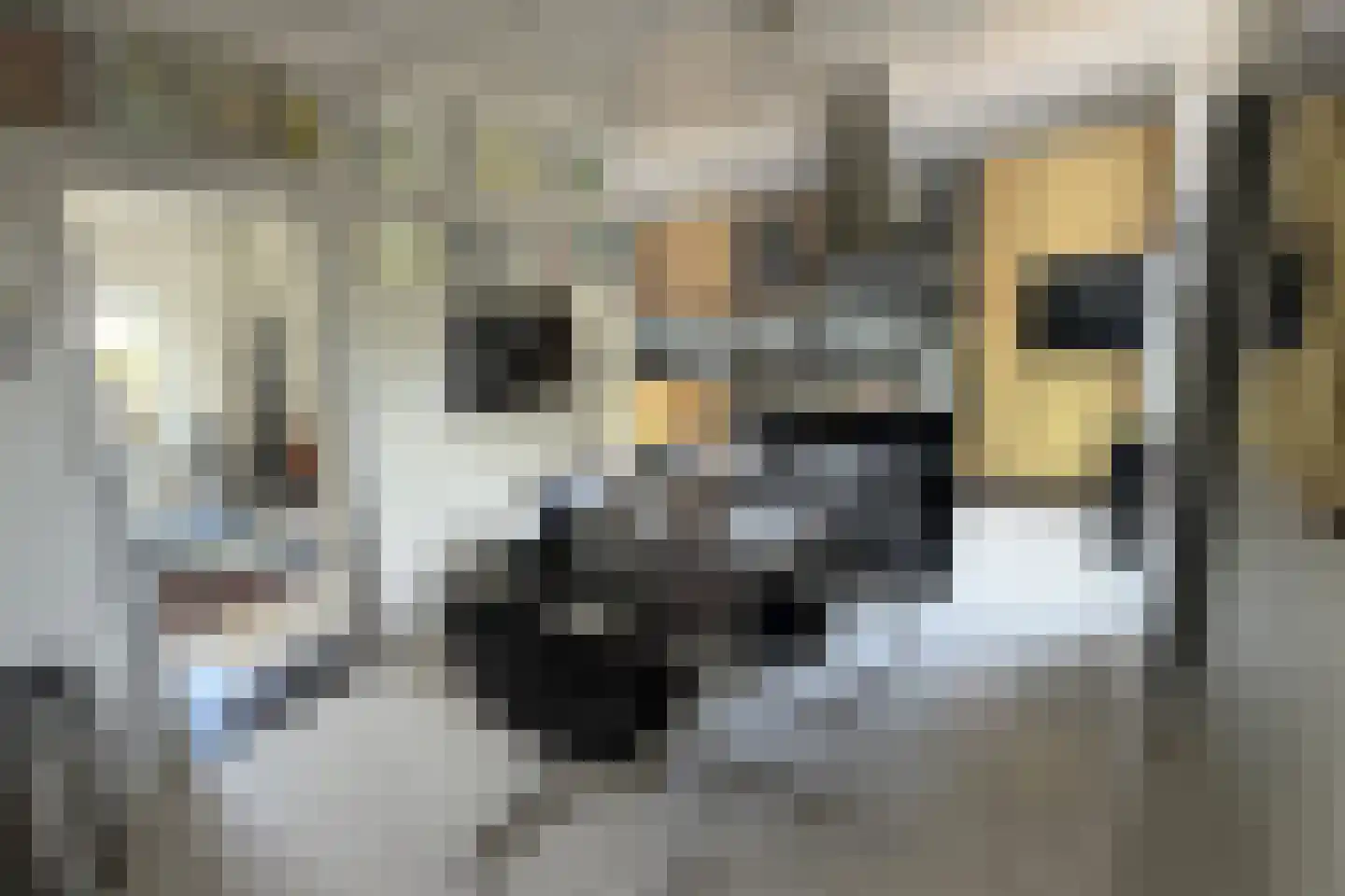 Termaar 5 Klimmen thumbnail 19