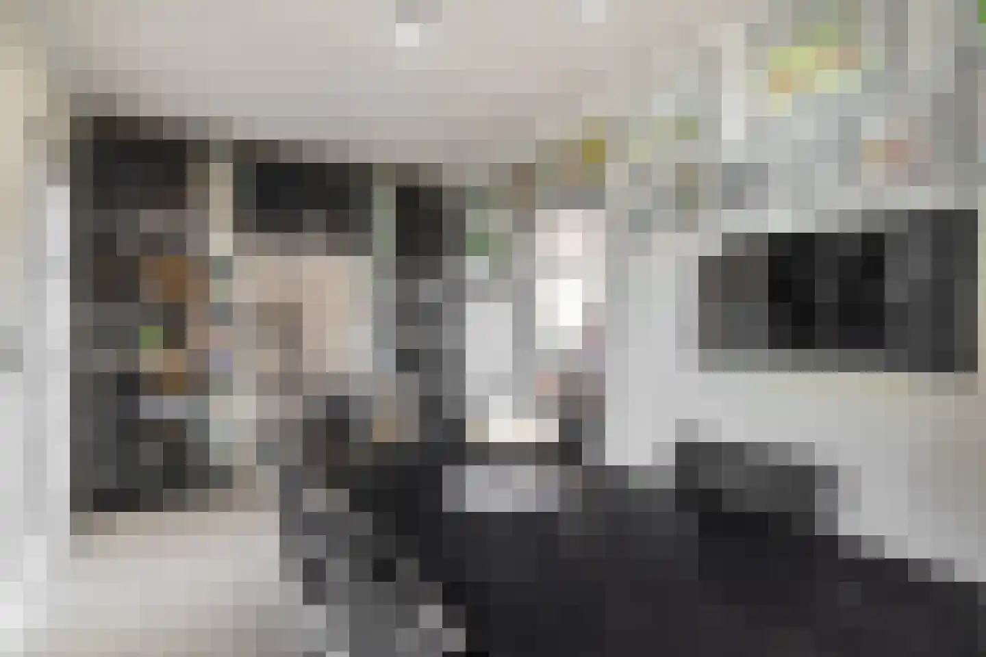 Termaar 5 Klimmen thumbnail 21
