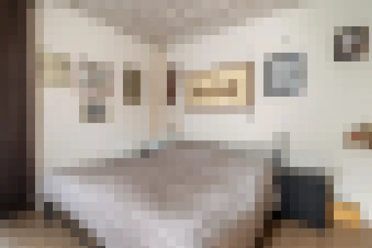 Termaar 5 Klimmen thumbnail 23