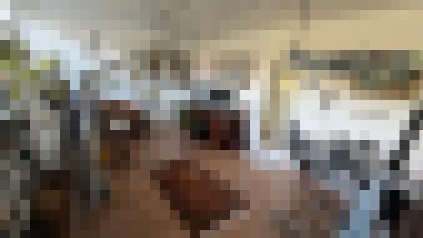 Termaar 5 Klimmen thumbnail 32
