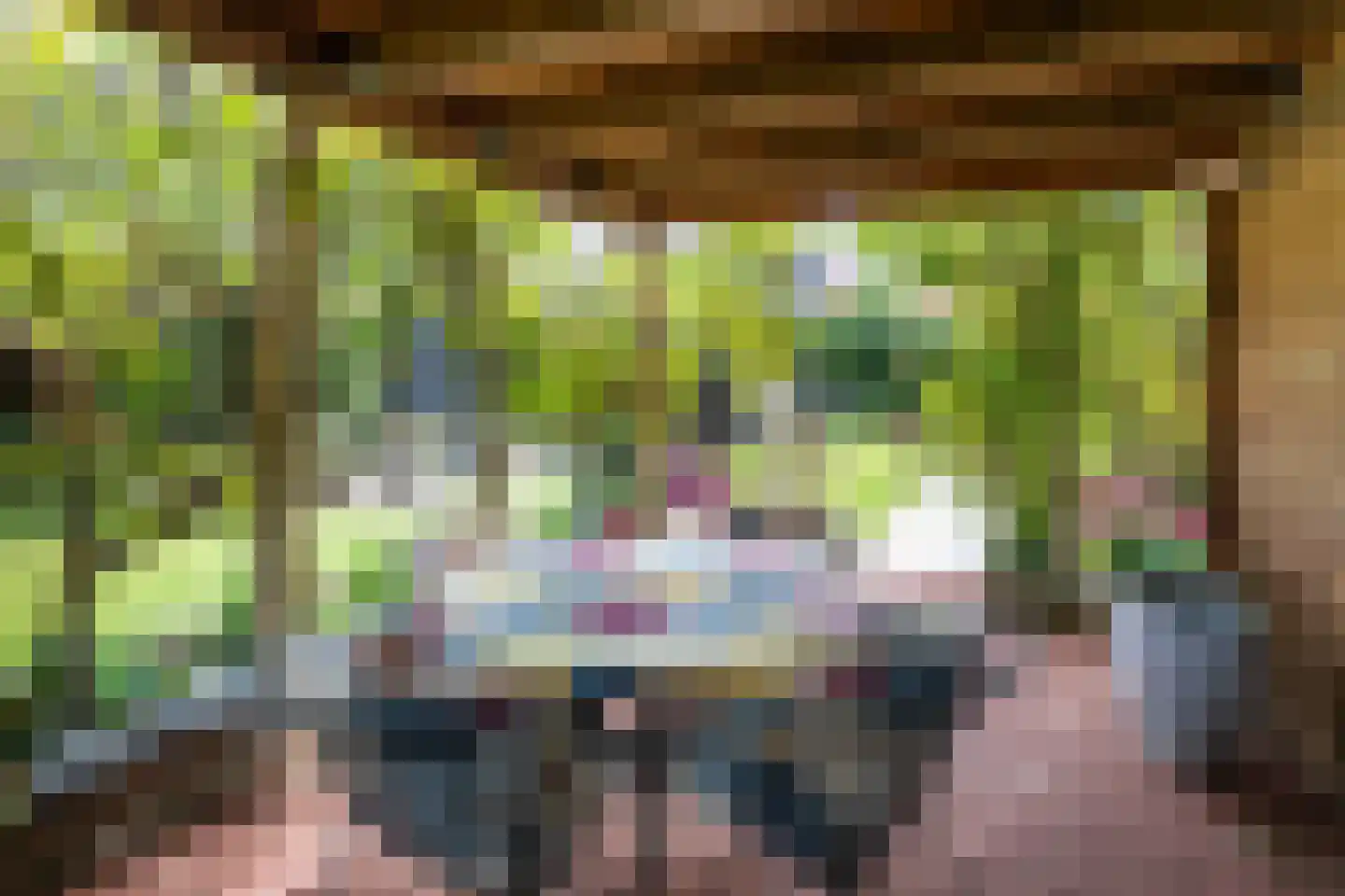 Termaar 5 Klimmen thumbnail 4
