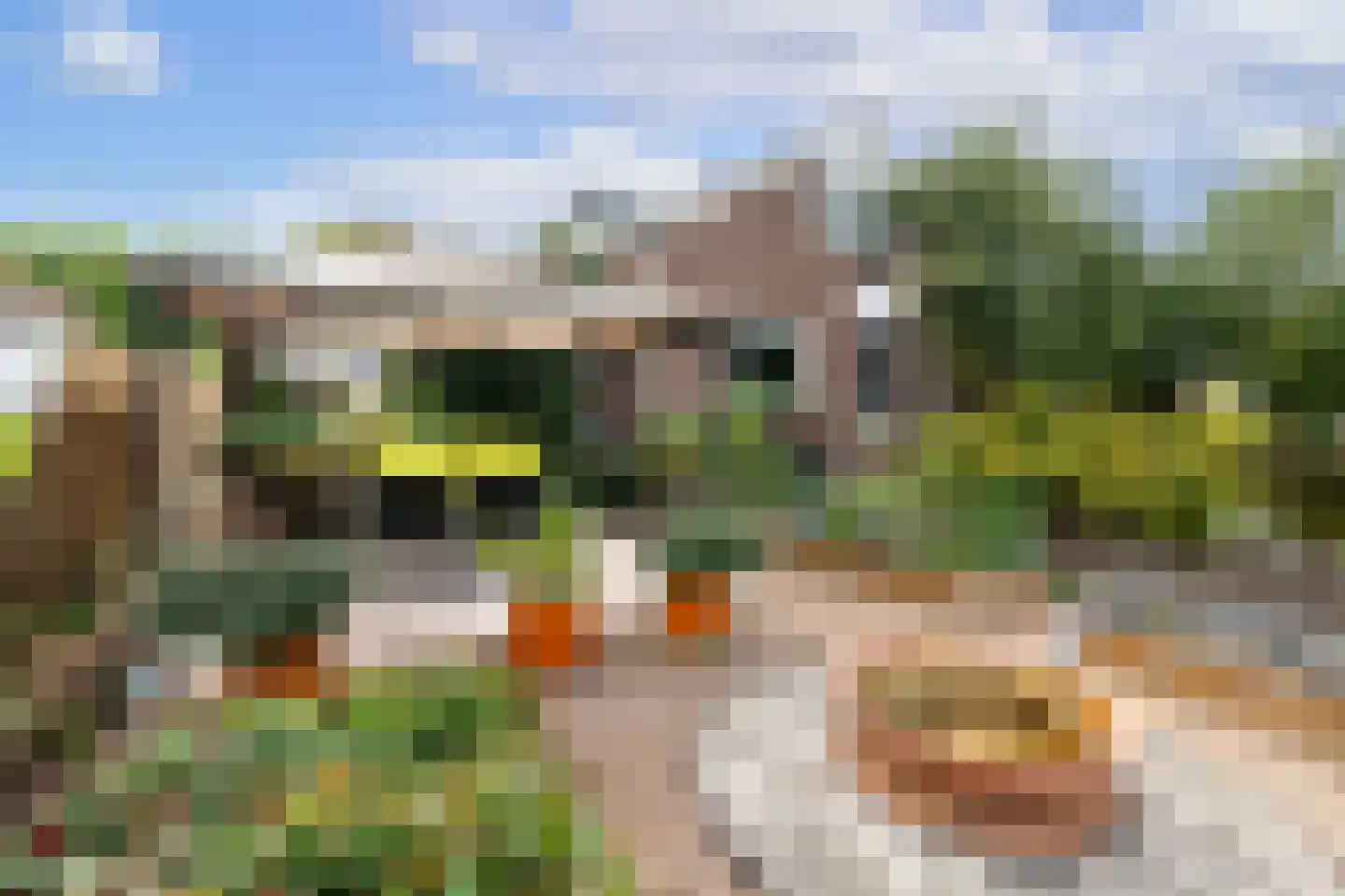 Termaar 5 Klimmen thumbnail 54