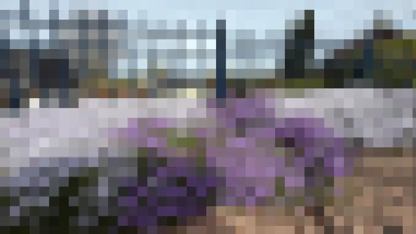Termaar 5 Klimmen thumbnail 56