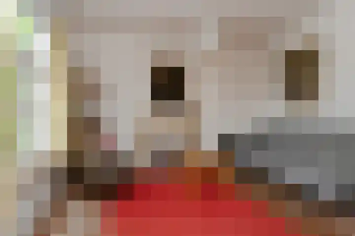 Termeidesteeg 1 Oirschot thumbnail 13