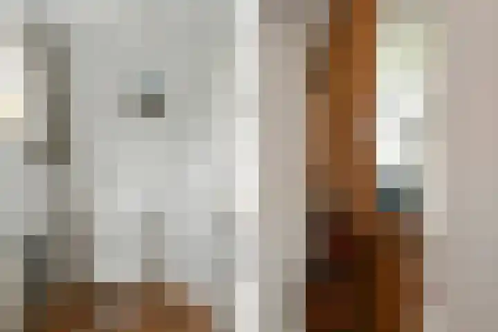 Termeidesteeg 1 Oirschot thumbnail 14