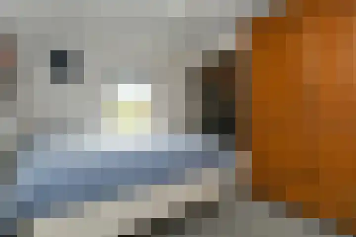 Termeidesteeg 1 Oirschot thumbnail 18