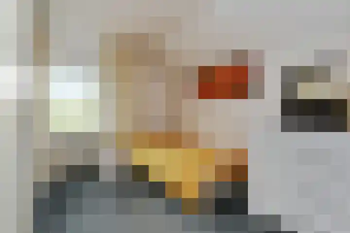 Termeidesteeg 1 Oirschot thumbnail 19