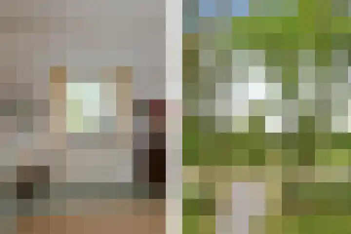 Termeidesteeg 1 Oirschot thumbnail 21