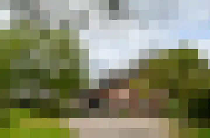 Termeidesteeg 1 Oirschot thumbnail 22