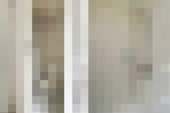 Termeidesteeg 1 Oirschot thumbnail 29