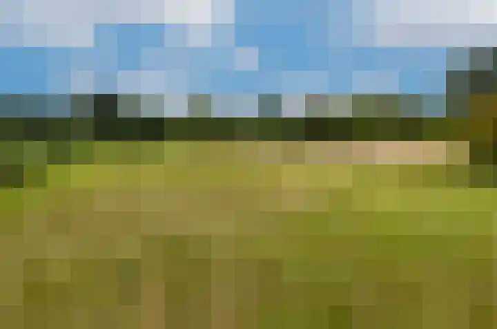 Termeidesteeg 1 Oirschot thumbnail 35