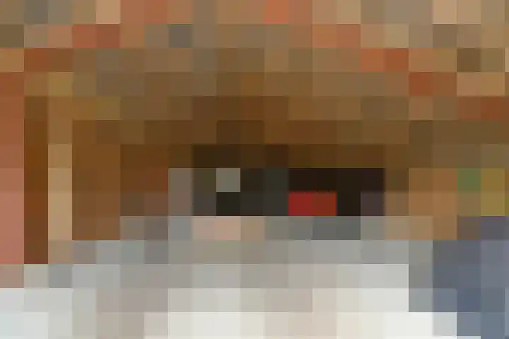 Termeidesteeg 1 Oirschot thumbnail 37